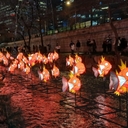 멤버 프로필
