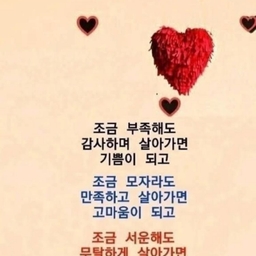 피드에 업로드 된 이미지