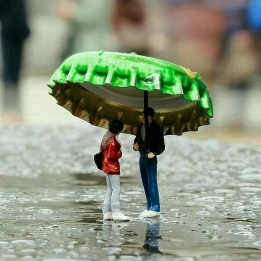 피드 이미지