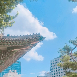 피드에 업로드 된 이미지