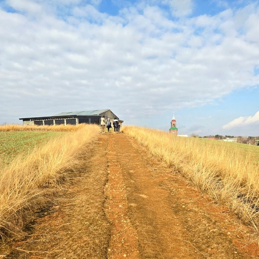 ํผ๋ ์ด๋ฏธ์ง