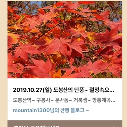 피드에 업로드 된 이미지