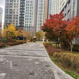 피드에 업로드 된 이미지