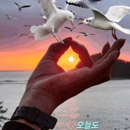 피드에 업로드 된 이미지