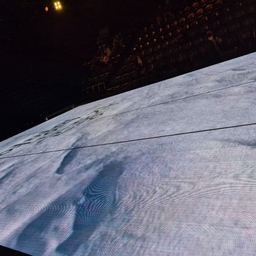 피드에 업로드 된 이미지