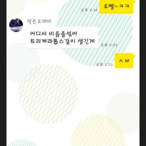 피드 이미지