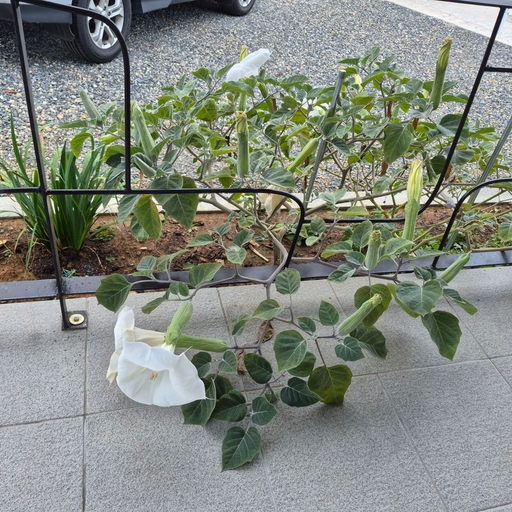 피드 이미지