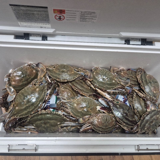 피드 이미지