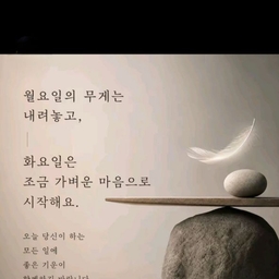피드에 업로드 된 이미지