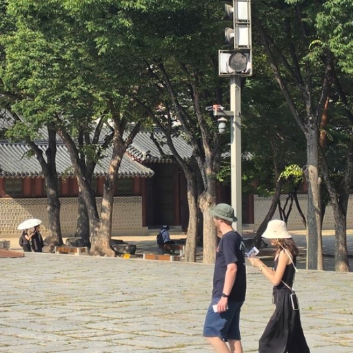 피드 이미지