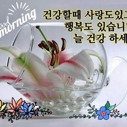 피드에 업로드 된 이미지