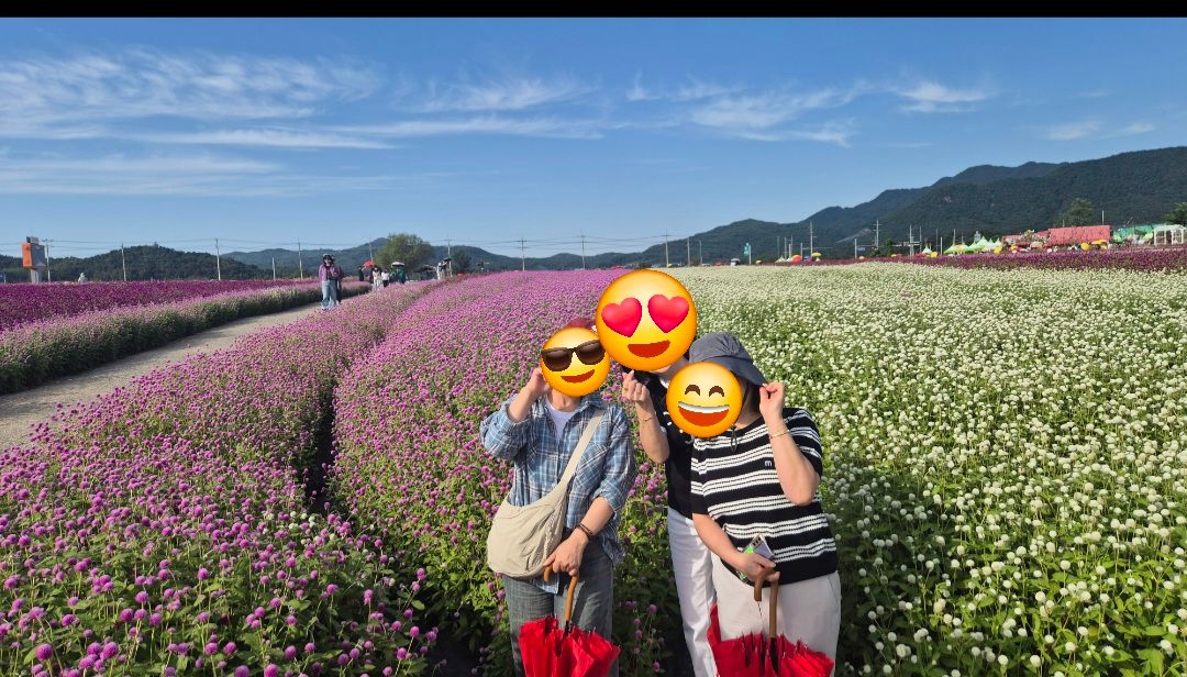 피드 이미지