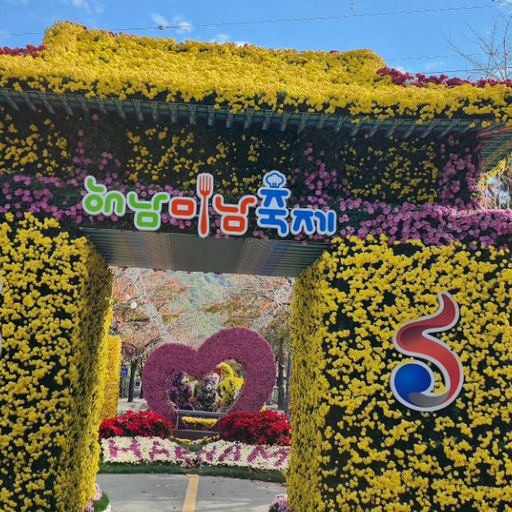 피드 이미지
