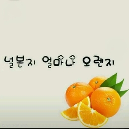 피드에 업로드 된 이미지