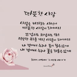 피드에 업로드 된 이미지