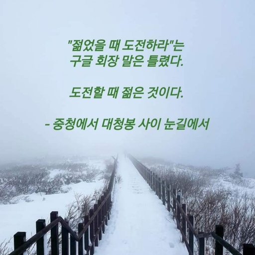 피드 이미지