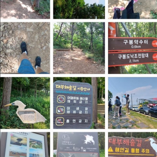 피드 이미지