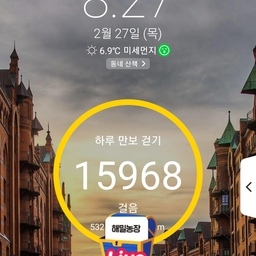 피드에 업로드 된 이미지