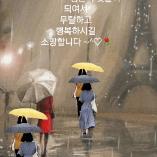 피드 이미지