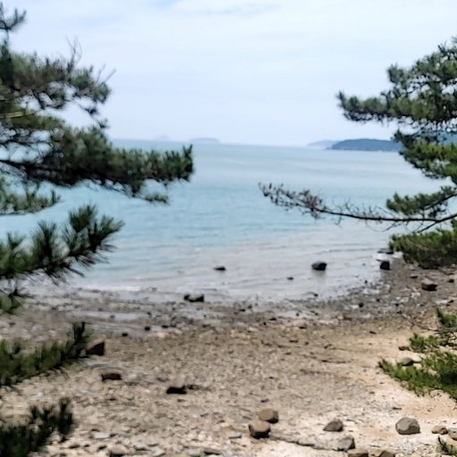 모임 대표 이미지