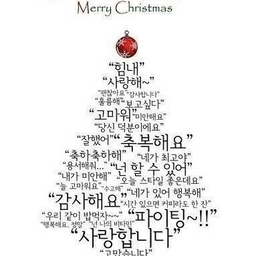 피드에 업로드 된 이미지