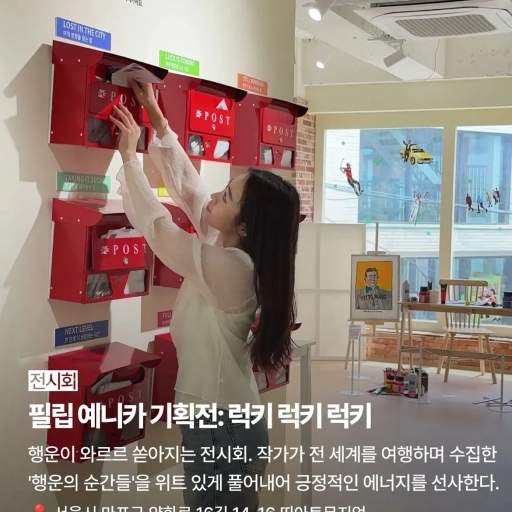 피드 이미지