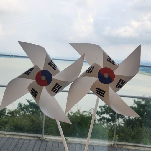 피드 이미지