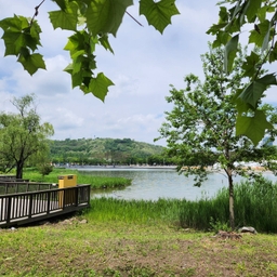 피드에 업로드 된 이미지