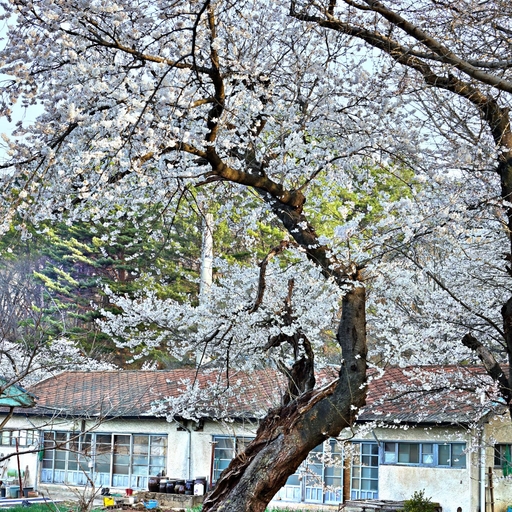 피드 이미지