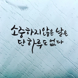 피드에 업로드 된 이미지