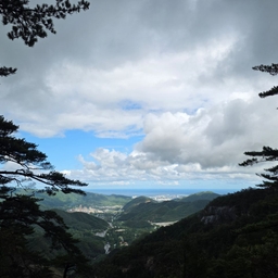 피드에 업로드 된 이미지