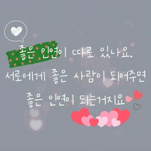 피드 이미지