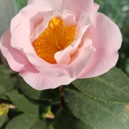 ํผ๋์ ์
๋ก๋ ๋ ์ด๋ฏธ์ง