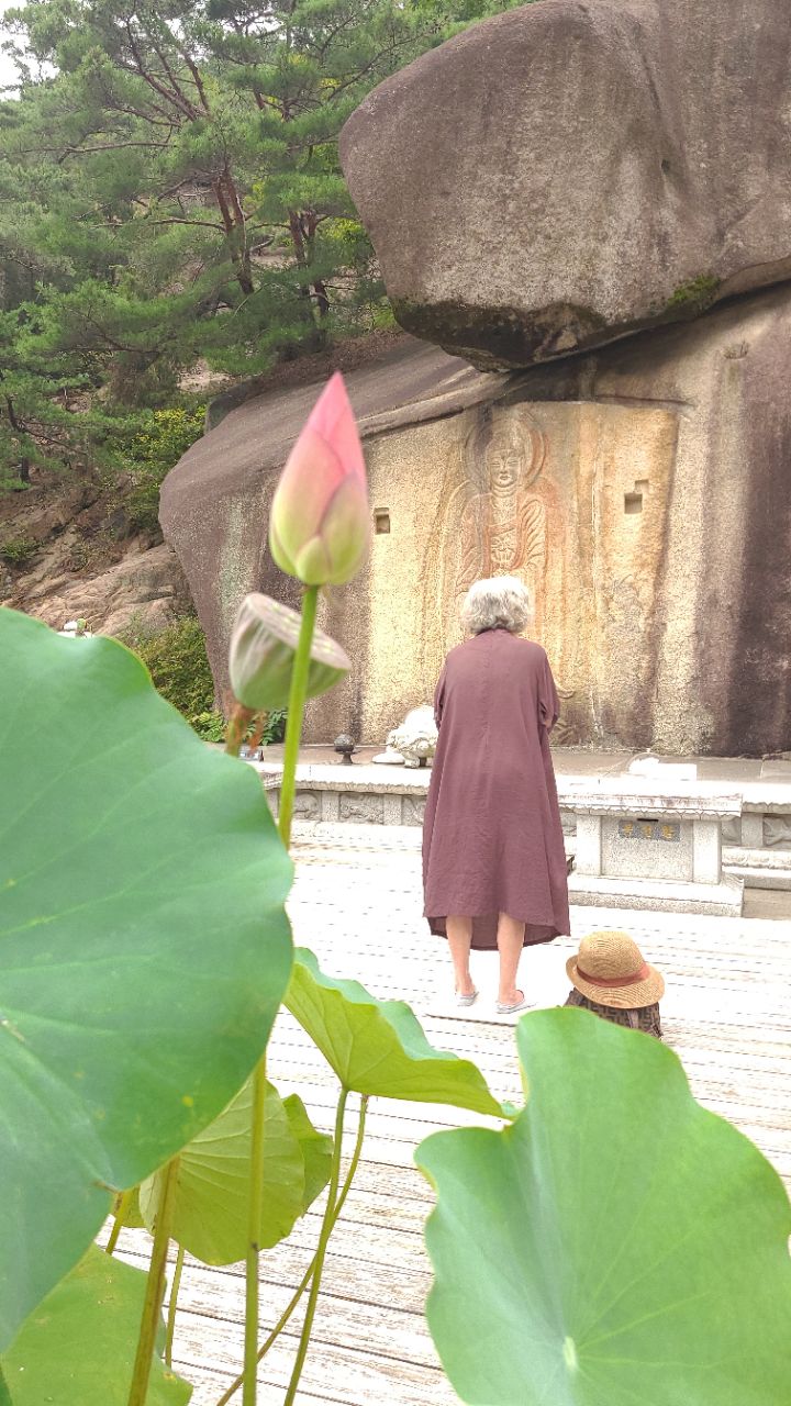 피드 이미지