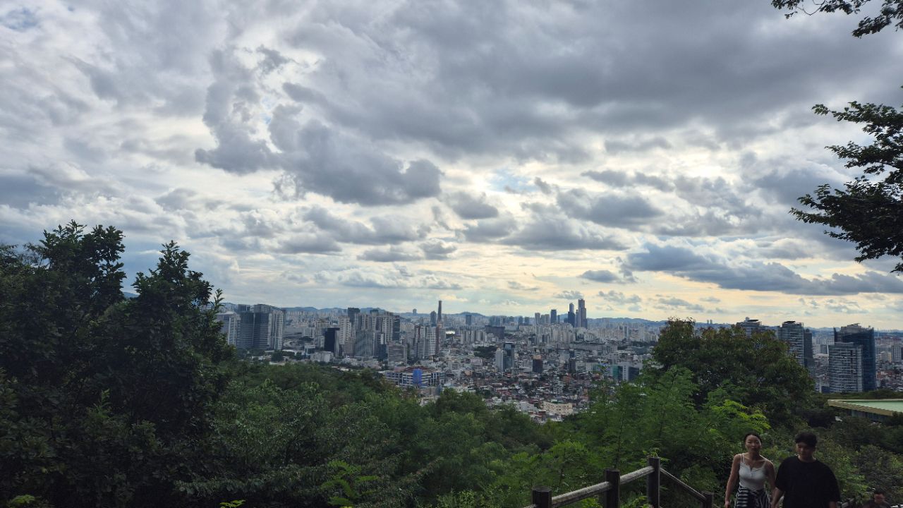 피드 이미지