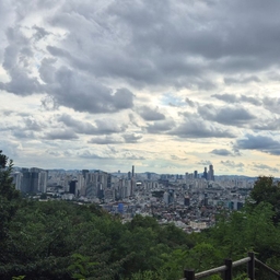 피드에 업로드 된 이미지