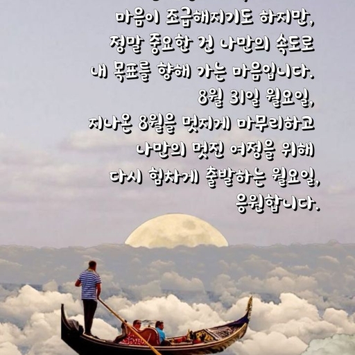 피드 이미지