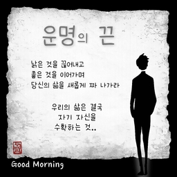 피드에 업로드 된 이미지