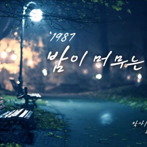 피드 이미지