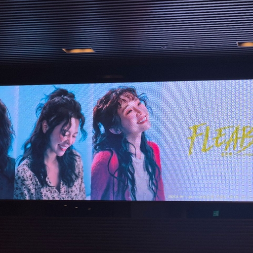피드 이미지