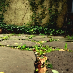 피드에 업로드 된 이미지