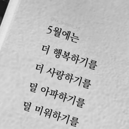 피드에 업로드 된 이미지