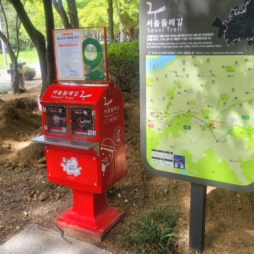 피드 이미지