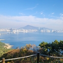 참가 유저 프로필