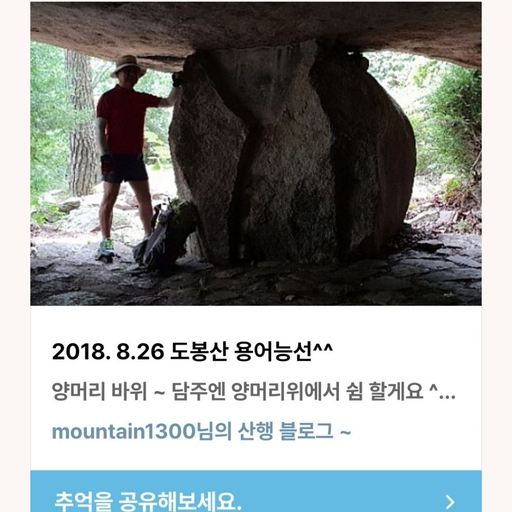 피드 이미지