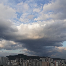 피드에 업로드 된 이미지