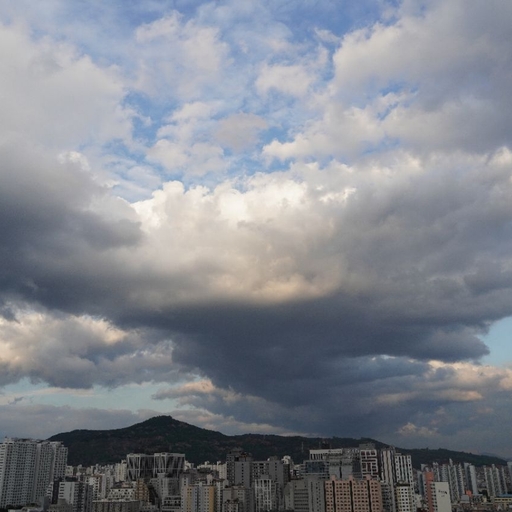 피드 이미지