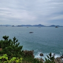 멤버 프로필