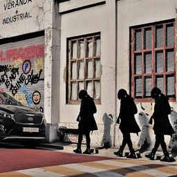 피드에 업로드 된 이미지