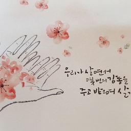 피드에 업로드 된 이미지